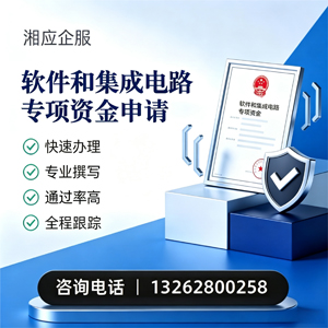 潍坊软件和集成电路专项资金申报服务