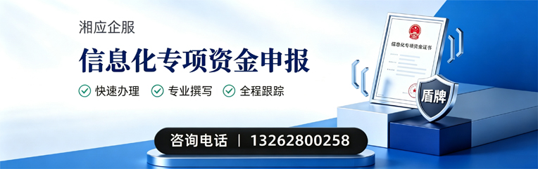 潍坊信息化专项资金申报服务