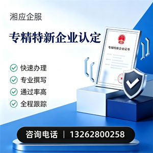 潍坊专精特新企业申报服务