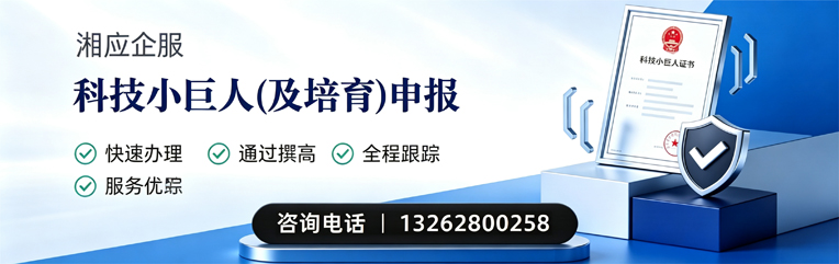 潍坊科技小巨人及培育企业申报服务