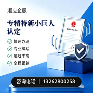 潍坊专精特新小巨人申报服务