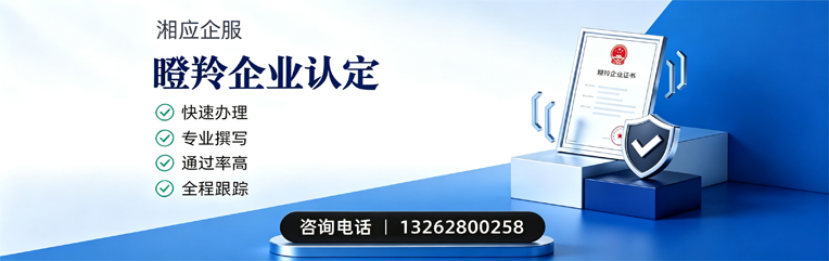 潍坊瞪羚企业认定申报服务