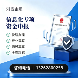 潍坊信息化专项资金申报服务