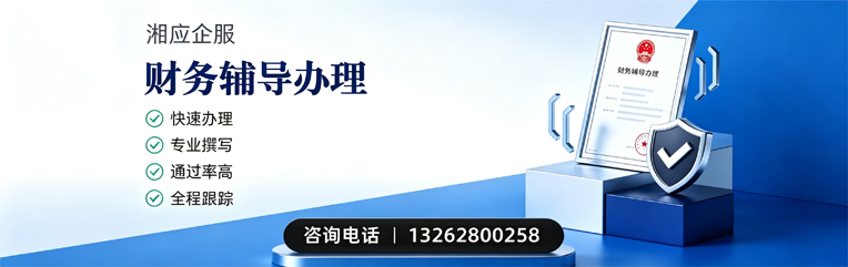 潍坊财务辅导申请服务