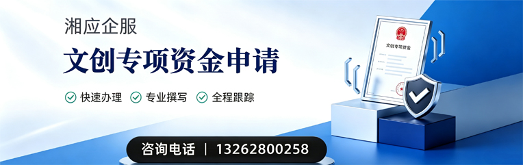 潍坊文创专项资金申报服务