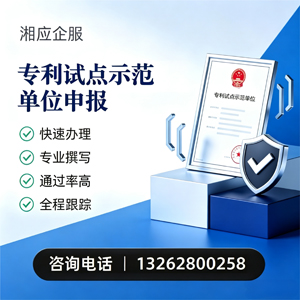 潍坊专利试点示范单位申报服务
