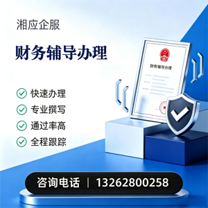 潍坊财务辅导申请服务
