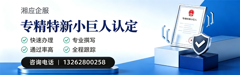 潍坊专精特新小巨人申报服务